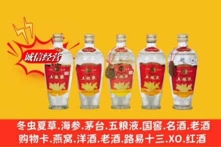 凉山州冕宁回收老五粮液