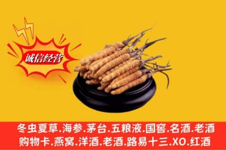 凉山州冕宁求购回收虫草多少钱每克